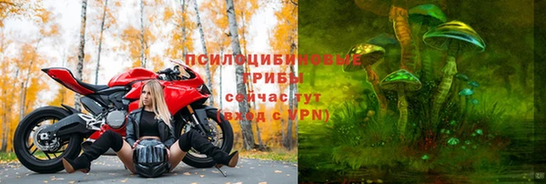 дмт Баксан