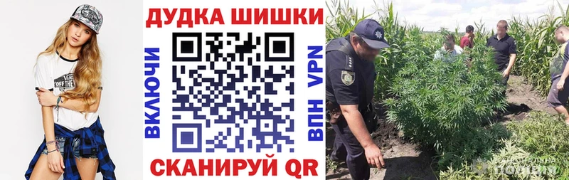 Канабис индика дарнет шоп Новокубанск
